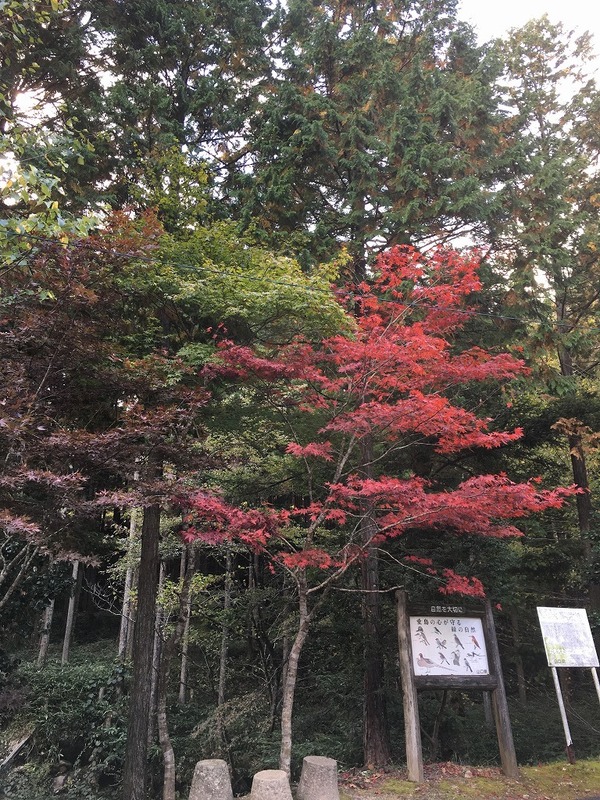 やねやの休日　　やましろ地区へ。。。