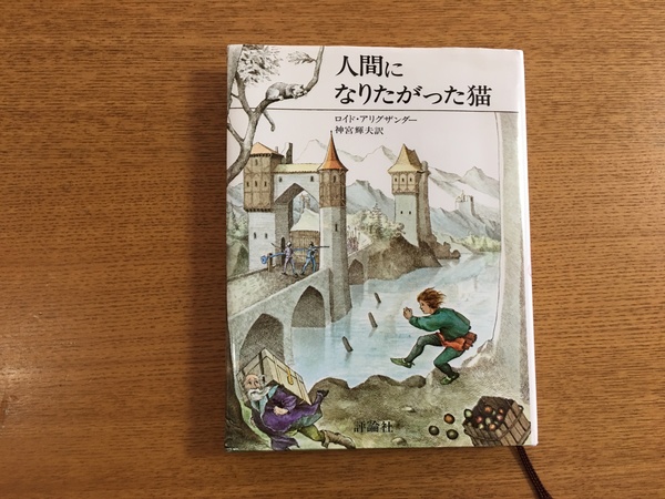 我が家の夏を総括　・・・2017年