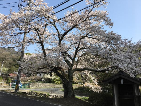 Ｔ工務店様物件　周南市M様邸新築屋根工事